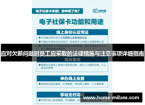 应对欠薪问题时员工应采取的法律措施与注意事项详细指南